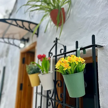 Loft La Cueva Del Nino *